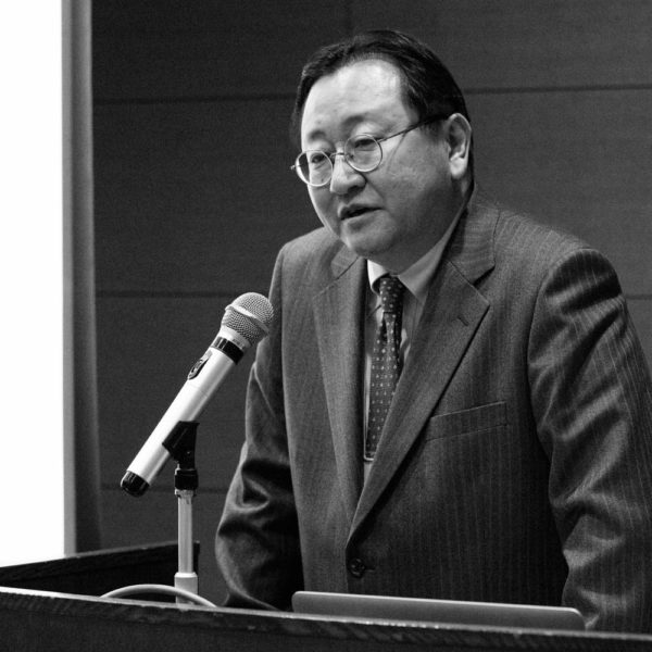 His Excellency Professor Toshiya Hoshino